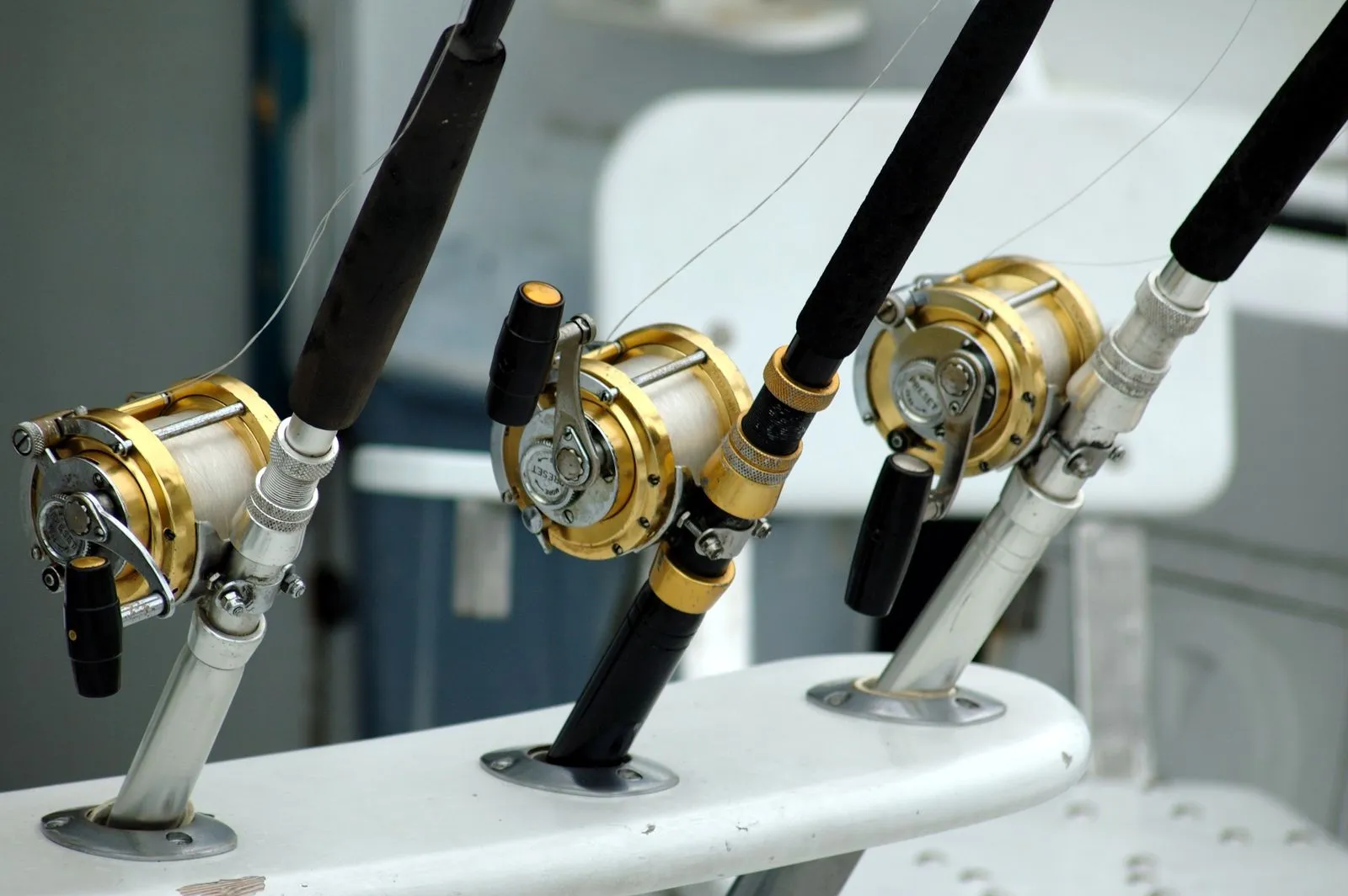 Your First Salmon Fishing Charter: What to Expect
